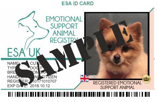 How to Avoid the Emotional Support Animals Registry Scam in the UK - Emotional  Support Animals UK